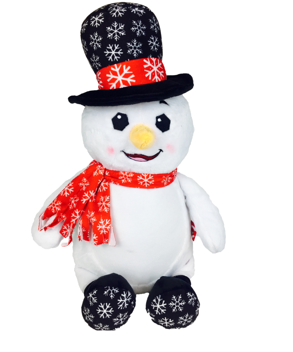 Snowman - Dr. Diddlington