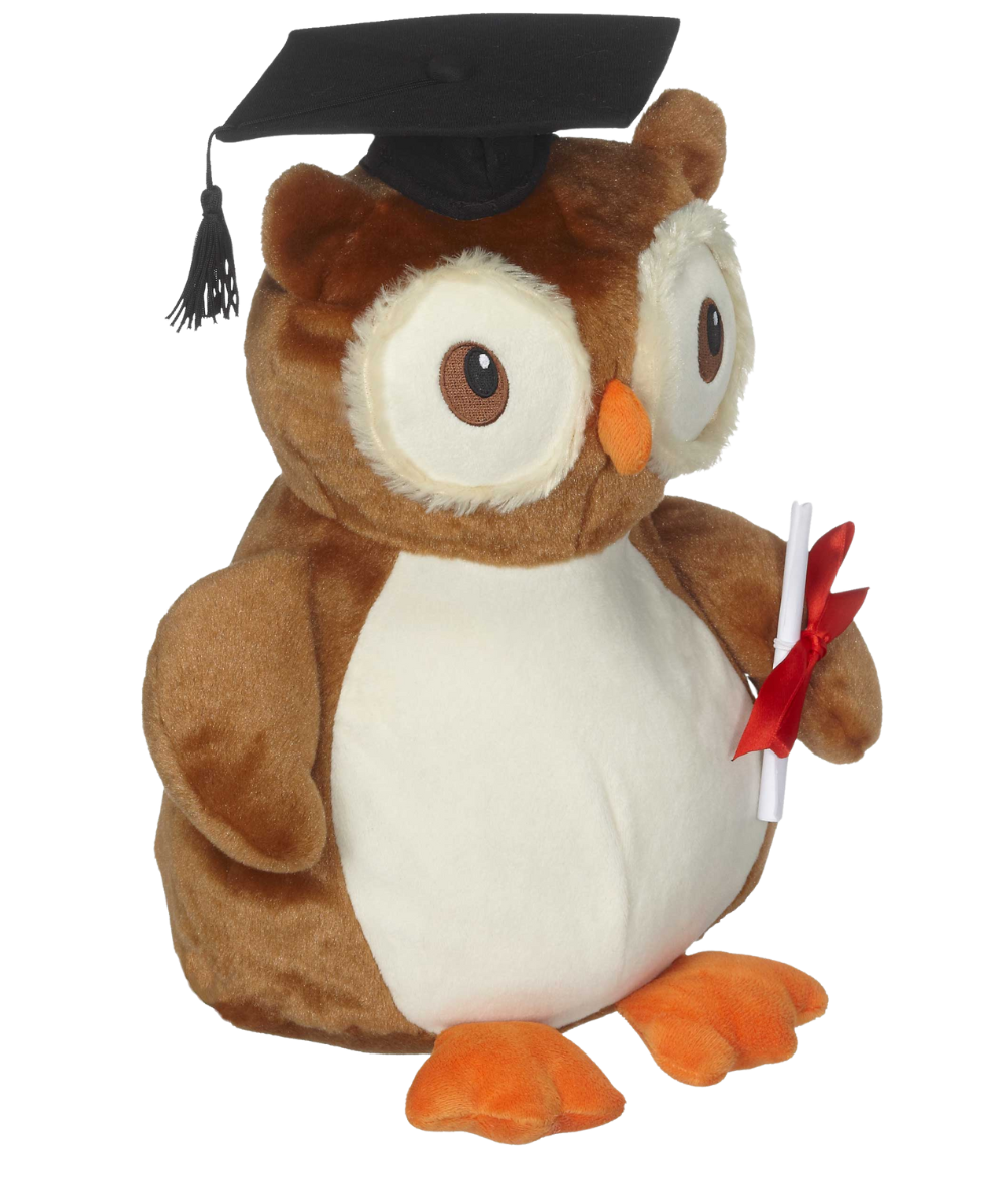 Owl - Okie